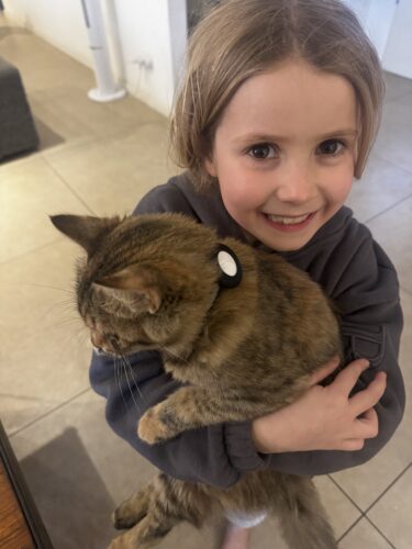 קולר אייר טאג לחתול בד עם חיבור סיליקון שחור AirTag שחור photo review